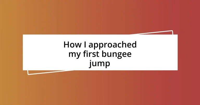 How I approached my first bungee jump