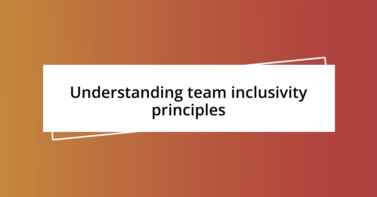 Understanding team inclusivity principles